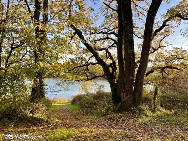 Photo Lac de la Vouraie : Belle randonnée de fin de journée bien fraîche au Lac de la Vouraie. La lumière du Coucher du Soleil était vraiment très belle et donnait de très belles couleurs d’automne sur la végétation 😍🥰c, Lac de la Vouraie, Saint-Hilaire-le-Vouhis, Retenue de la Sillonnière, Coucher du Soleil