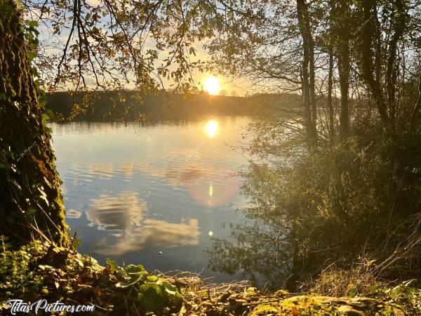Photo Lac de la Vouraie : Belle randonnée de fin de journée bien fraîche au Lac de la Vouraie. La lumière du Coucher du Soleil était vraiment très belle et donnait de très belles couleurs d’automne sur la végétation 😍🥰c, Lac de la Vouraie, Saint-Hilaire-le-Vouhis, Retenue de la Sillonnière, Coucher du Soleil