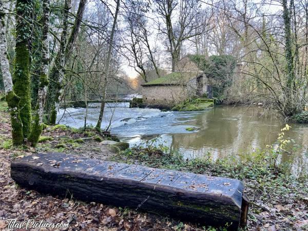 Photo Le Moulin de l’Etourneau : Le Moulin de l’Etourneau, au Parc de la Barbinière à St-Laurent-sur-Sèvre. Avec toute la pluie qui est tombée ses dernières semaines, le niveau de l’eau est on ne peut plus correct 😍 Ça déborde même encore à plusieurs endroits du parc 😅c, Tita’s Pictures, Moulin de l’Etourneau, Parc de la Barbinière