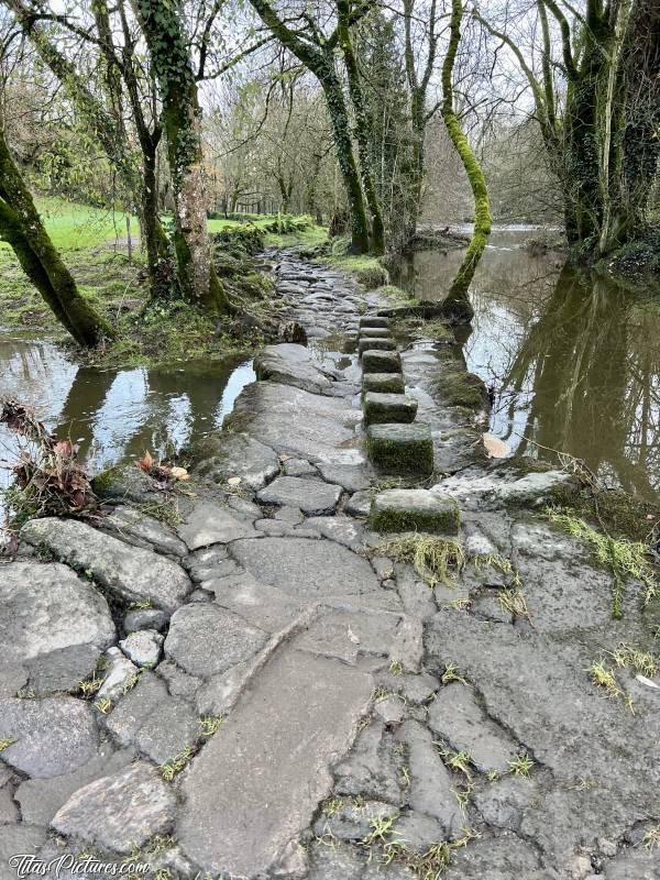 Photo Le Parc de la Barbinière : Ouff ! Ça passe 🥳😮‍💨 Je pensais que ce serait inondé ici aussi, mais non. Le niveau de la Sèvre est descendu. Mais pas depuis longtemps d’après les traces 🫢😅c, Tita’s Pictures, Le Parc de la Barbinière, La Sèvre Nantaise