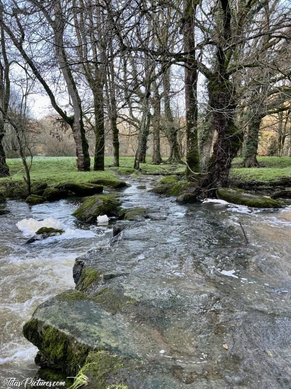 Photo Le Parc de la Barbinière : Autant cet été je n’avais jamais vu le niveau de la Sèvre Nantaise aussi bas, autant cet hiver, je ne l’avais jamais vu aussi haut 🤭😅 Là il y a un passage habituellement 🥴 Bon bein, on va faire le grand tour 😅c, Tita’s Pictures, Parc de la Barbinière, Sèvre Nantaise