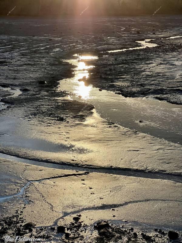 Photo Les Epesses : Le grand Lac des Epesses est vide, en ce début d’année 2024. On peut donc voir pleins de traces dans la vase. Quelqu’un saurait dire qui a fait ces grosses traces que l’on voit au milieu de la photo ?c, Tita’s Pictures, Les Epesses, La Bretèche, Etang de l'Aujardière