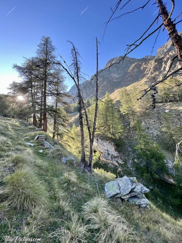 Photo Gran Paradiso : Le soleil commence à disparaître derrière le sommet de la montagne, et la fraîcheur commence à s’installer. 
Quel bel endroit paisible pour se ressourcer, que le parc du Gran Paridiso dans la Vallée d’Aoste 😍c, Tita’s Pictures, Italie, Vallée d’Aoste, Gran Paradiso