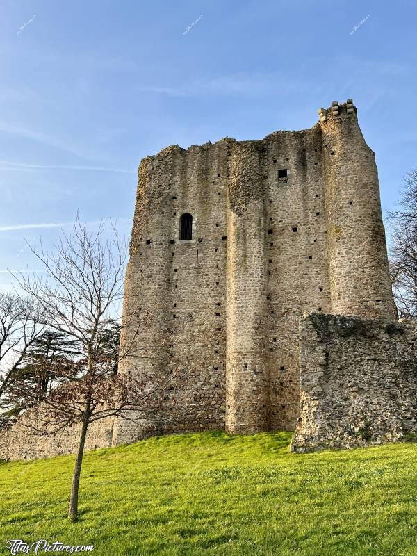 Photo Château de Pouzauges : Belle lumière de fin de journée sur le Château de Pouzauges. Il y avait plein de pigeons qui n’arrêtaient pas d’aller et venir à son sommet.c, Tita’s Pictures, Château de Pouzauges