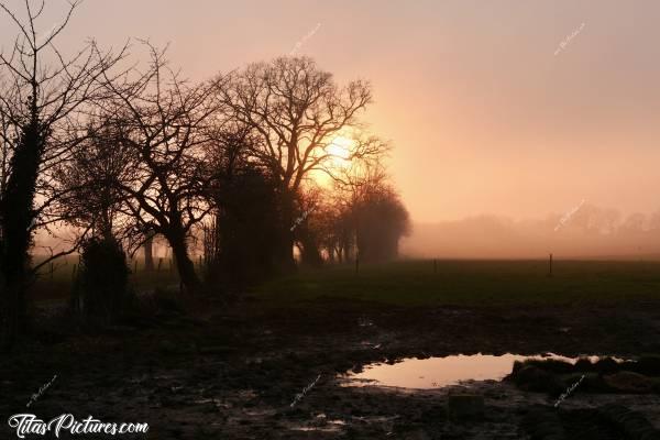 Photo Brouillard givrant 🥶 : Un brouillard givrant était en train de se lever ce jour-là et s’approchait de moi à grande vitesse 🤭😅 En quelques minutes, le soleil s’est retrouvé voilé et cette ambiance magique est apparue 👍🏻😍c, Brouillard givrant, campagne vendéenne, champ