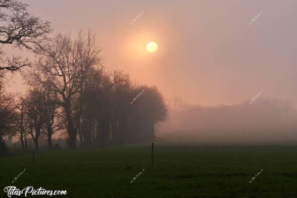 Photo Brouillard givrant 🥶 : Un brouillard givrant s’approchait de moi à grande vitesse, en créant ces belles couleurs 😍🥰 En quelques minutes, le soleil s’est retrouvé voilé et cette ambiance magique est apparue 👍🏻😍c, Brouillard givrant, campagne vendéenne, champ