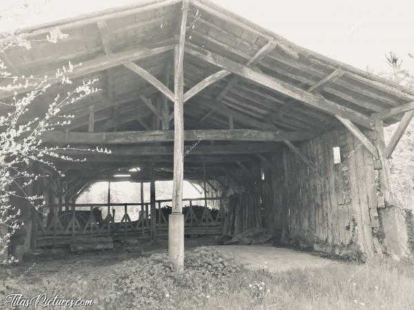 Photo Vieille Grange : Vieille Grange très bien conservée, découverte dans ma campagne Vendéenne lors d’une randonnée..c, Grange, Poutres en bois, étable