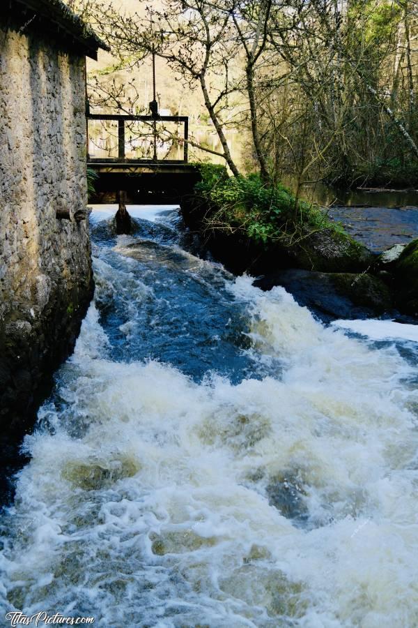 Photo Le Moulin de l’Etourneau : Le Moulin de l’Etourneau, au Parc de la Barbinière à St-Laurent-sur-Sèvre. Avec toute la pluie qui est tombée ses dernières semaines, le niveau de l’eau est on ne peut plus correct 😍c, Tita’s Pictures, Le Moulin de l’Etourneau, Le Parc de la Barbinière, Saint-Laurent-sur-Sèvre