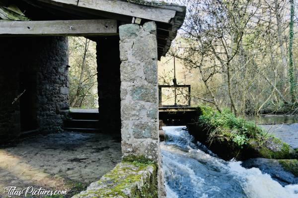 Photo Le Moulin de l’Etourneau : Le Moulin de l’Etourneau, au Parc de la Barbinière à St-Laurent-sur-Sèvre. Avec toute la pluie qui est tombée ses dernières semaines, le niveau de l’eau est on ne peut plus correct 😍c, Tita’s Pictures, Le Moulin de l’Etourneau, Le Parc de la Barbinière, Saint-Laurent-sur-Sèvre