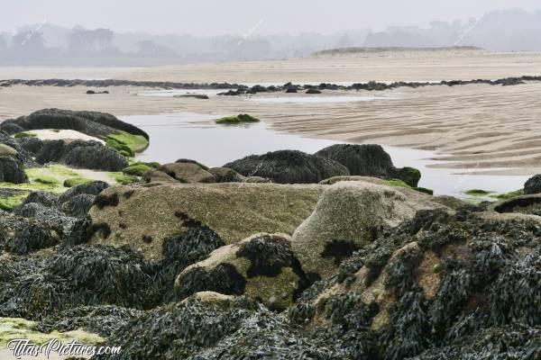 Photo La Baie du Kernic : Randonnée brumeuse à la Baie du Kernic. On discerne à peine la Dune de Keremma 🤭😅c, Tita’s Pictures, Baie du Kernic, Goëmon, Rochers, Dune