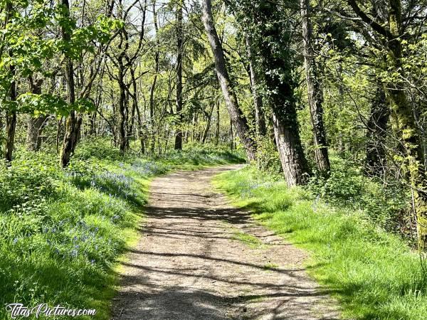 Photo Le Parc de la Barbinière : Belle balade fleurie, en ce début de printemps, au Parc de la Barbinière. C’est vraiment très agréable 👍🏻😍😎c, Tita’s Pictures, Parc de la Barbinière, fleurs sauvages