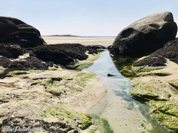 Photo La Baie du Kernic : Petite mare pleine de vie à marée basse.c, Mer, Sable, Rochers, Dunes