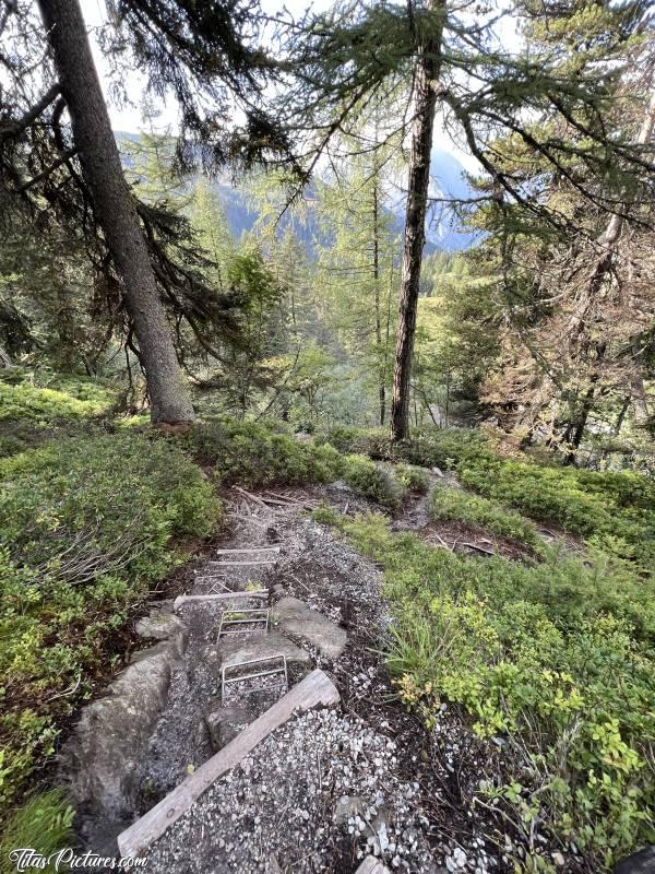 Photo Chemin de randonnée  : Regardez moi l’originalité de ces marches, sur le chemin de randonnée de la Cascade du Rutor. Ces marches antidérapantes ne sont vraiment pas de trop, car on ne voit pas trop sur la photo, mais la pente était bien raide. Et pas de barrière ou de corde pour se retenir de tomber dans le vide 🤭😅😍c, Tita’s Pictures, Les Alpes, La Thuile, Cascade du Rutor, Randonnée, Torrente Ruthor, Sentiero Cascate del Rutor