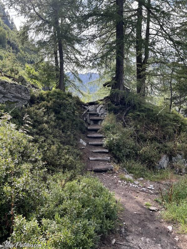 Photo Escalier naturel  : Lors de ma randonnée pour observer les belles cascades du Rutor à la Thuile en Italie, je suis passée par ce joli passage 😍 Un escalier naturel fait avec des rondins de bois. J’adore 😍🥰c, Tita’s Pictures, Les Alpes, La Thuile, Cascade du Rutor, Randonnée, Torrente Ruthor, Sentiero Cascate del Rutor