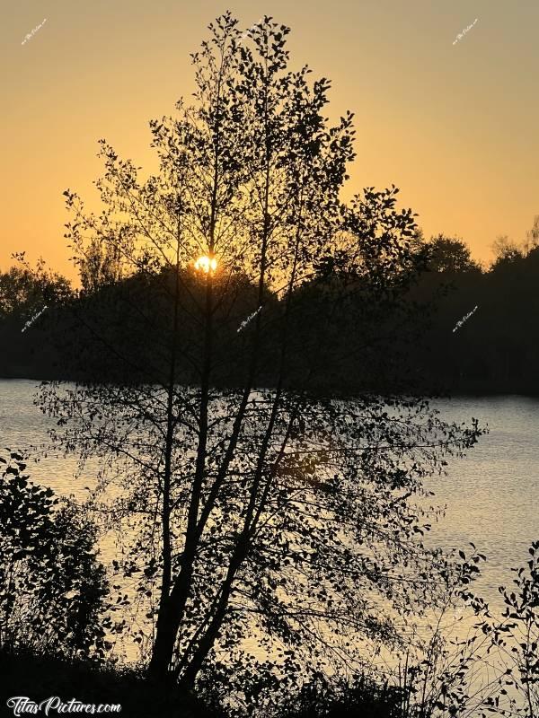 Photo Lac de l’Espérance : Jeu de cache-cache avec le soleil et les arbres, au Lac de l’Espérance à Pouzauges. c, Tita’s Pictures, Lac de l’Espérance, Pouzauges, Lac
