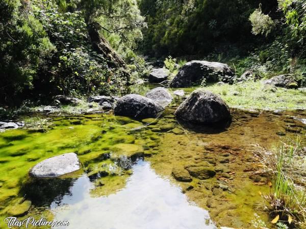 Photo Madère : Regardez moi ces belles couleurs dans cette eau transparente ! J’adore 🥰c, Madère, Rivière, Randonnée