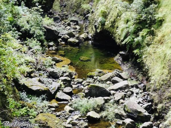 Photo Madère : Zoom sur une rivière en contrebas d’un chemin de randonnée au centre de l’île. 
J’aimais bien les couleurs de la végétation qui ressortaient avec la couleur de l’eau..c, Madère, Rivière