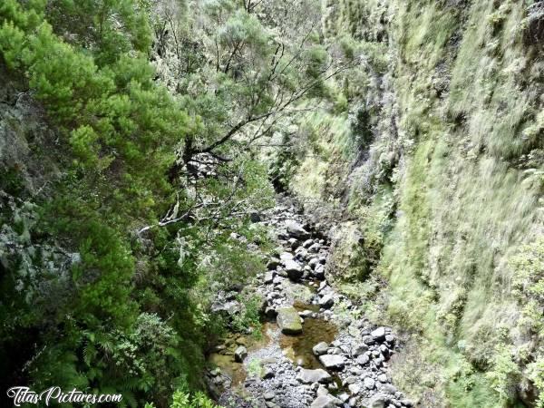 Photo Madère : Rivière au centre de l’île, rappelant beaucoup les Ravines que l’on peut voir à la Réunion..c, Madère, Rivière