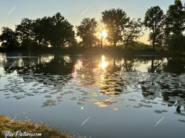 Photo Étang privé : Coucher du soleil sur un étang privé, avec plein de feuilles de nénuphar. Vraiment très paisible pour faire un barbecue 👍🏻😍c, Tita’s Pictures, Étang privé