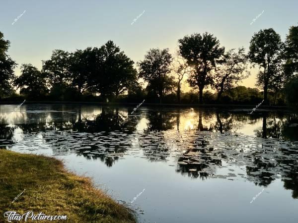 Photo Étang privé  : Joli coucher du soleil sur un étang privé vendéen. Beaucoup de vendéens ont la chance d’en posséder. Mais ça demande beaucoup d’entretien 🤭😅c, Tita’s Pictures, étang privé
