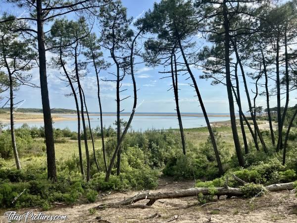 Photo Le Veillon : Le Veillon à marrée haute, coté rivière et à l’ombre des Pins. Sympa comme vue pour faire une petite pose 👍🏻😍😎c, Tita’s Pictures, Le Veillon, Plage, Talmont-Saint-Hilaire