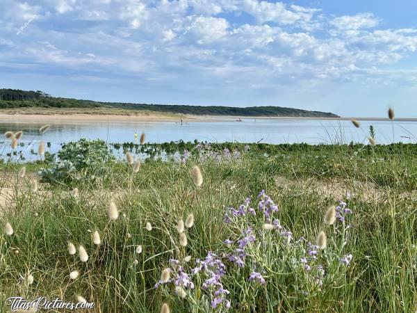 Photo Le Veillon  : La Baie du Veillon à marée montante. Le paysage se transforme entièrement en très peu de temps.. J’adore 😍🥰c, Tita’s Pictures, le Veillon, Talmont-Saint-Hilaire 
