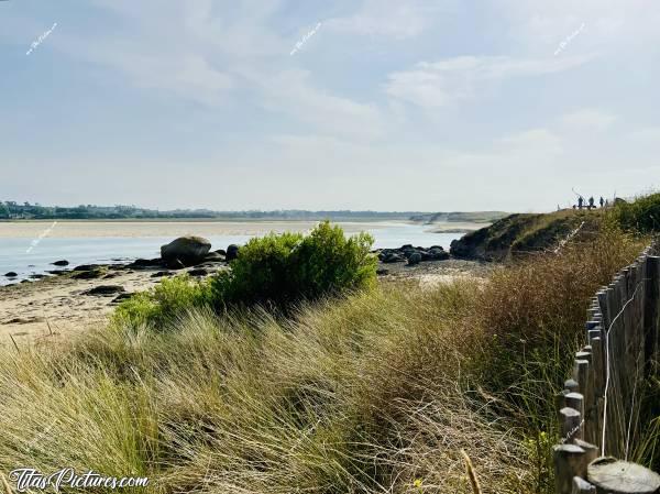 Photo La Baie du Kernic  : La Baie du Kernic et son beau sable blanc 😍🥰 Depuis que les barrières ont été posées, j’ai l’impression que la végétation s’est amplifiée.. Tant mieux , car ça gâche vraiment le paysage 😕c, Tita’s Pictures, Baie du Kernic, Plouescat 