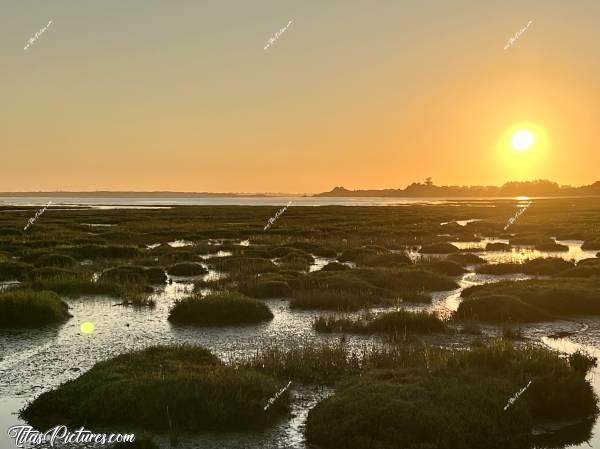 Photo La Baie du Kernic  : Beau coucher du soleil sur la pointe de la Baie du Kernic, côté Casino. À marée haute, toutes ces touffes de végétation disparaissent. 
c, Tita’s Pictures, Baie du Kernic, Plouescat 