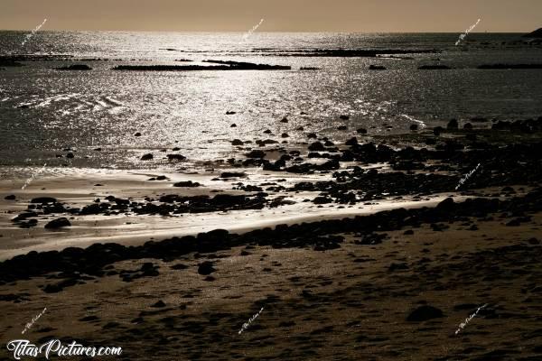 Photo Les Murailles  : Jeux de lumière dorée sur la mer, à la plage des Murailles, à Talmont-Saint-Hilaire. c, Tita’s Pictures, Talmont-Saint-Hilaire, Les Murailles, Plage