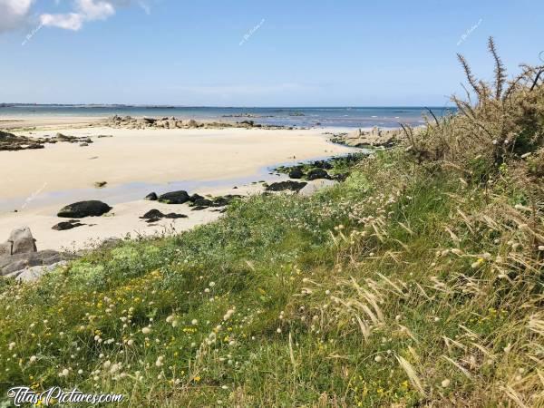 Photo La baie du Kernic : Entrée de la baie du Kernic avec la vue face à la mer. 
Elle est très loin aujourd’hui 😅
Et le vent est très fort, comme le montre les herbes 😅c, Mer, sable, rochers, dune