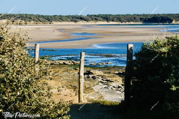 Photo Le Veillon  : Belle vue en hauteur sur la plage du Veillon à Talmont-Saint-Hilaire 👍🏻😍 Le chemin de randonnée ne cesse d’être grignoté par la mer 😥c, Tita’s Pictures, le Veillon, Plage, Mer