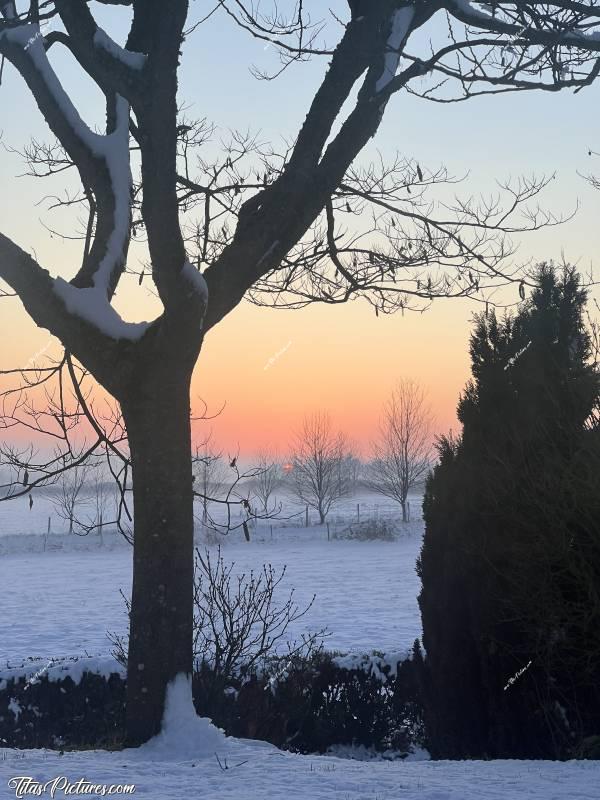 Photo La Vendée sous la neige  : Coucher du soleil sur la campagne vendéenne recouverte d’un bon 15 cm de neige 🤭😍c, Tita’s Pictures, la Vendée, la Campagne, la Neige 