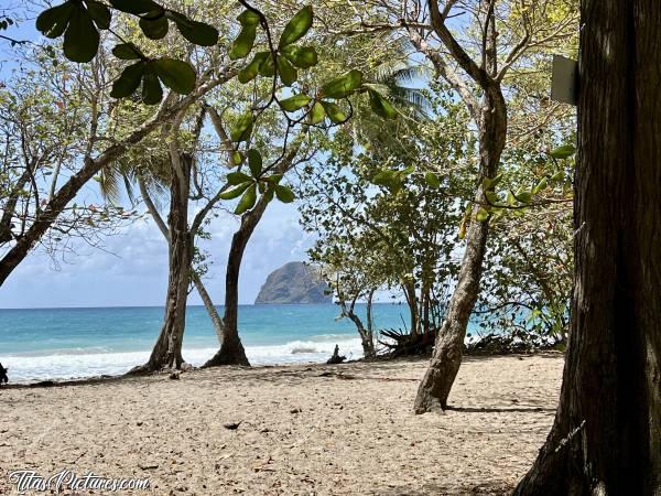 Photo Plage du Diamant  : La belle plage du Diamant en Martinique, aussi appelée Grande Anse du Diamant. Il s’agit d’une grande plage assez sauvage je trouve, car il y a un grand bois tout du long. c, Tita’s Pictures, La Martinique, Plage du Diamant, Grande Anse Diamant