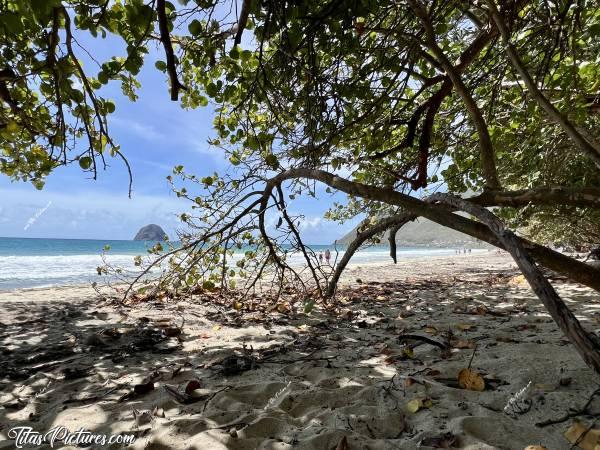 Photo Plage du Diamant  : Beau spot à l’ombre, sur la plage du Diamant en Martinique. C’était vraiment très agréable de pouvoir se protéger du soleil, tout en admirant cette magnifique plage 😍😎c, Tita’s Pictures, La Martinique, Plage du Diamant, Grande Anse Diamant