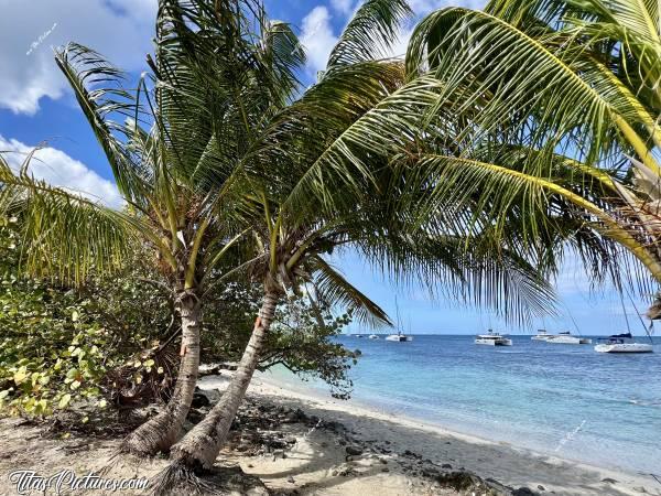 Photo La Pointe du Bout : Toute petite plage toute mignonne à la Pointe du Bout des Trois-Îlets. Il y a beaucoup de cailloux, mais l’eau est tellement chaude qu’il est facile de s’y baigner quand même 👍🏻😍c, Tita’s Pictures, La Martinique, La Pointe du Bout