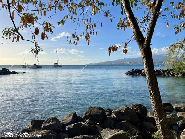 Photo La Pointe du Bout : Il faisait très chaud ce jour-là, à la Pointe du Bout 🥵 Heureusement qu’il y avait un peu d’ombre pour se protéger du soleil 😍😎c, Tita’s Pictures, La Martinique, La Pointe du Bout, Les Trois-Îlets