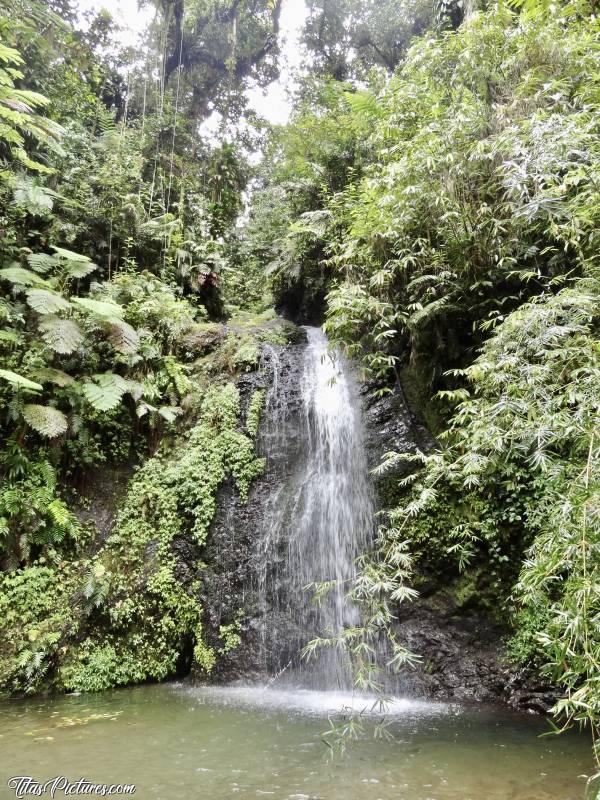 Photo Chute d’eau  : Lors d’une sortie en 4x4 en Martinique, le guide nous a fait découvrir cette belle chute d’eau en pleine nature. Impressionnant cette végétation foisonnante 🤭😍 Par contre, je m’excuse mais j’ai oublié le nom du Lieu 🤭😅 Peut-être que quelqu’un reconnaîtra… 🤔🤭😅c, Tita’s Pictures, Martinique, Sortie 4x4, Cascade, Chute d’eau 