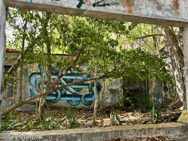 Photo Fort de la Pointe du Bout  : Tout au bout de la Pointe du Bout, il y a les ruines d’un ancien Fort. Personnellement, je trouve très beau ce Graphe réalisé sur un des murs restants 😍🥰c, Tita’s Pictures, Martinique, Fort de la Pointe du Bout, Graphe, Tag, Street Art 