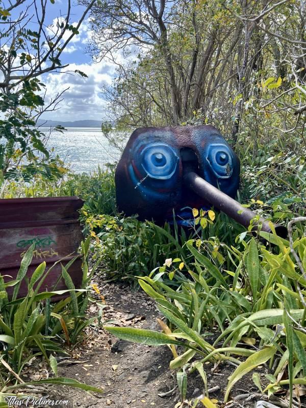 Photo Vieux Canon : Tout au bout de la Pointe du bout, aux Trois Îlets, on est tombés sur ce vieux canon tout rouillé. Trop sympa l’artiste, de lui avoir fait des yeux 👍🏻😍c, 