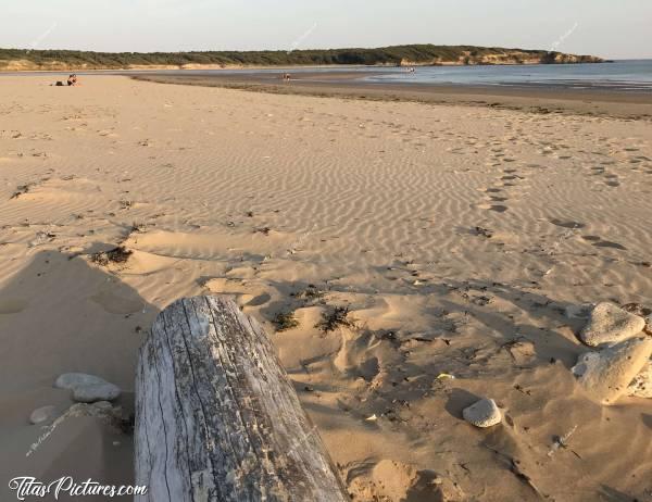 Photo La Plage du Veillon : La Plage du Veillon à Talmont-Saint-Hilaire. Tiens, un gros rondin de bois rejeté par la mer.. Ça tombe bien, j’avais envie de m’asseoir pour admirer la vue.. 😅😎c, Plage du Veillon, Sable, mer, Dune, Falaises