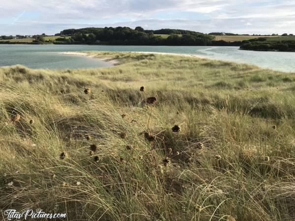 Photo La Rivière de Plougoulm : Par marée haute, le paysage est transformé 😊c, 