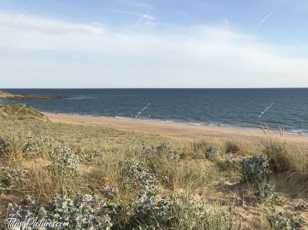 Photo St-Gilles-Croix-de-Vie : Vue sur la mer des dunes de St-Gilles-Croix-de-Vie.c, Mer, Sable, Dune