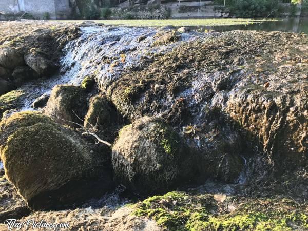 Photo La Sèvre Nantaise : La Sèvre Nantaise à Mallièvre. Le niveau de l’eau est très bas 😥c, Sèvre Nantaise, Mallièvre