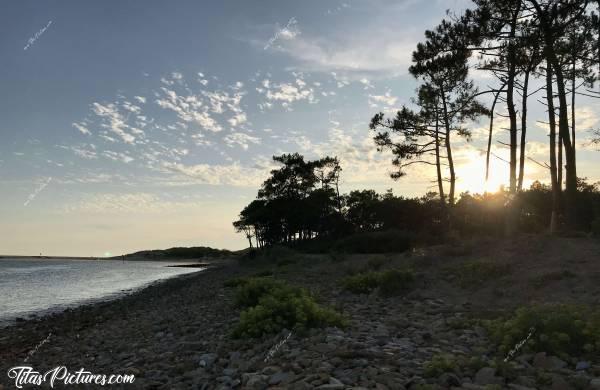 Photo La plage du Veillon : La plage du Veillon à Talmont-Saint-Hilaire. Coucher de soleil sur le bois de pins avec vue sur la Dune au fond à gauche. Elle diminue à vue d’œil 😥😔c, Talmont-Saint-Hilaire, Le Veillon, Pins