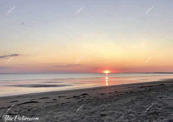 Photo La Barre-de-Monts : Coucher de soleil à la Barre-de-Montsc, Coucher de soleil, mer, sable, algues