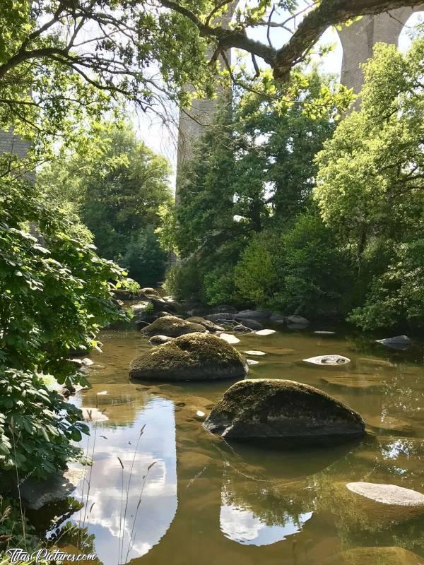 Photo La Sèvre Nantaise : Le niveau est tellement bas qu’on en voit le fond et même les poissons 😅c, Sèvre Nantaise, Rochers, arbres