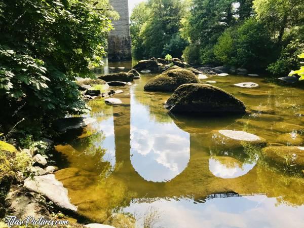 Photo La Sèvre Nantaise : Le niveau est tellement bas qu’on en voit le fond et même les poissons 😅c, Sèvre Nantaise, Parc de la Barbinière, Viaduc de Barbin