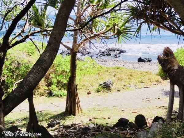Photo Grande Anse : La plage de Grande Anse à la Réunion. La plus belle je trouve 😎c, Grande Anse, La Réunion, Mer, Rochers