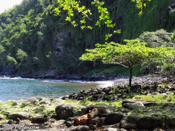 Photo L’Anse des Cascades : La petite plage de l’Anse des Cascades. Très joli coin pour pique-niquer à l’ombre des arbres.c, La Réunion, L’Anse des Cascades