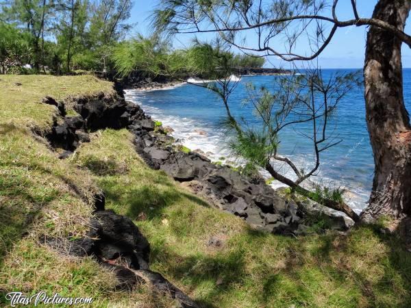 Photo La Réunion : Vous avez vu comme l’herbe pousse bizarrement.. 😅 Très jolie vue pour pique-niquer 😎
Je m’excuse, mais je ne me rappelle plus le nom de cet endroit 😥  Quelque part dans le Sud de l’Ile je crois.. 🤔😅c, La Réunion, Mer, Rochers de lave